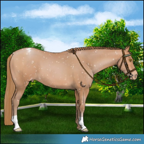 Horse Color:Brown Pearl Snowflake Varnish