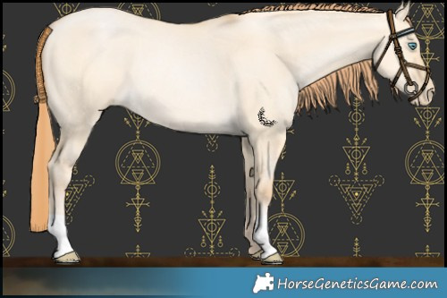 Horse Color:Buckskin Pearl Dun Rabicano 