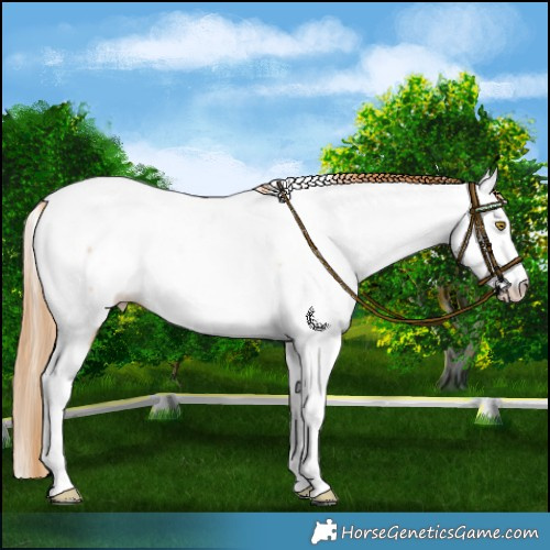 Horse Color:Bay Pearl Dun Near Fewspot Rabicano 
