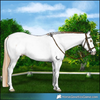 Horse Color:Bay Pearl Dun Near Fewspot Rabicano 