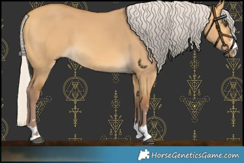 Horse Color:Chocolate Silver Buckskin Dun 