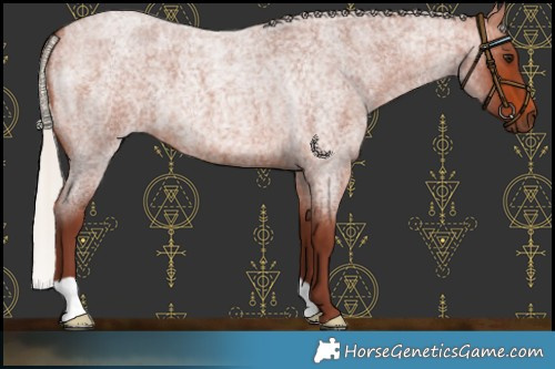 Horse Color:Chocolate Silver Brown Roan 
