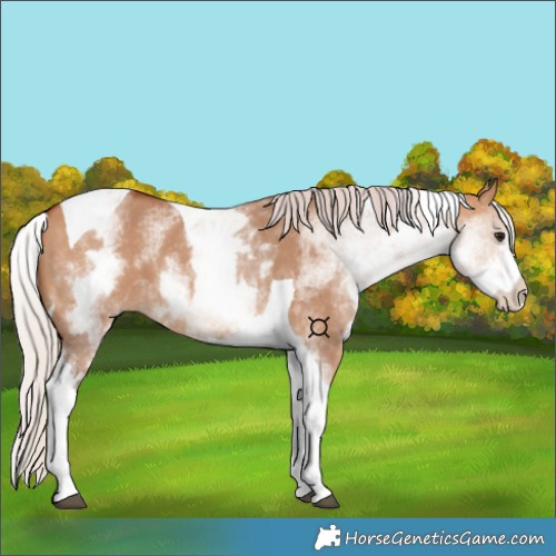 Horse Color:White Spotted Chocolate Silver Bay Dun Tobiano 