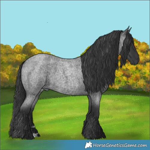 Horse Color:Blue Roan