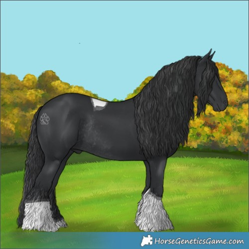 Horse Color:Black Tobiano Rabicano 