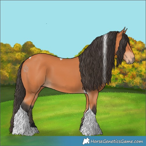 Horse Color:Bay Tobiano