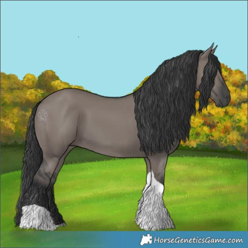 Horse Color:Grullo Tobiano 