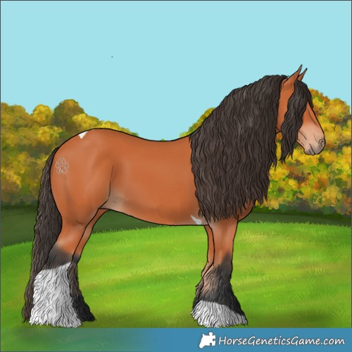 Horse Color:Bay Tobiano 