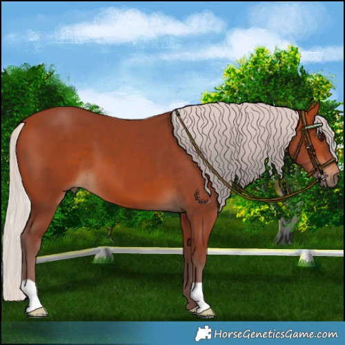 Horse Color:Chocolate Silver Bay 