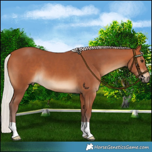 Horse Color:Chocolate Silver Bay 
