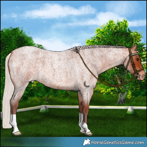 Horse Color:Chocolate Silver Bay Roan Varnish