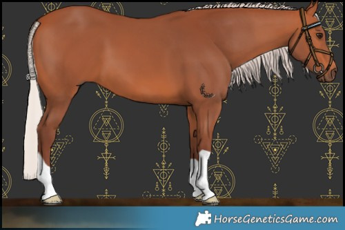 Horse Color:Chocolate Silver Bay 
