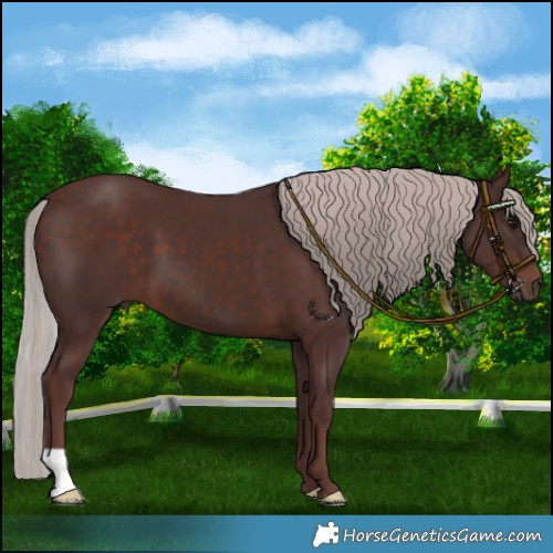 Horse Color:Chocolate Silver Brown