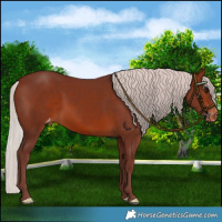 Horse Color:Chocolate Silver Brown Varnish