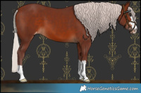 Horse Color:Chocolate Silver Brown Varnish