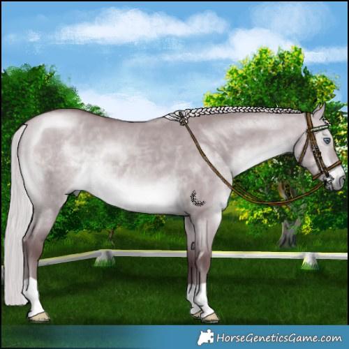 Horse Color:Chocolate Silver Brown Chinchilla Dun 