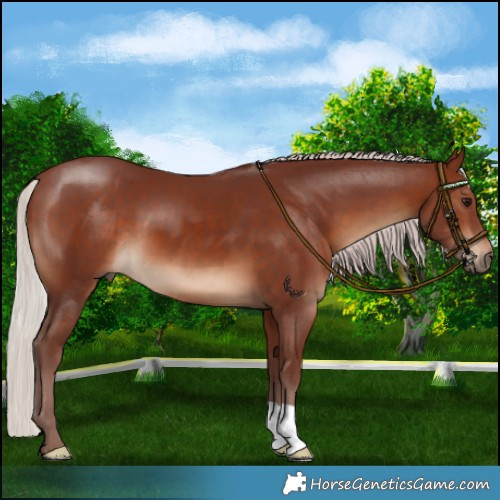 Horse Color:Chocolate Silver Brown
