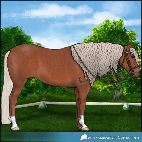 Horse Color:Chocolate Silver Black 