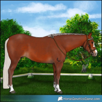 Horse Color:Chocolate Silver Brown 