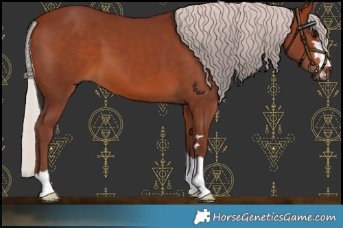 Horse Color:Chocolate Silver Bay 