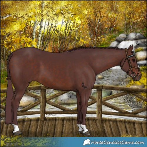 Horse Color:Chocolate Brown 