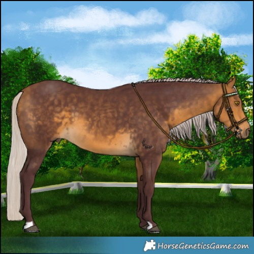 Horse Color:Chocolate Silver Buckskin