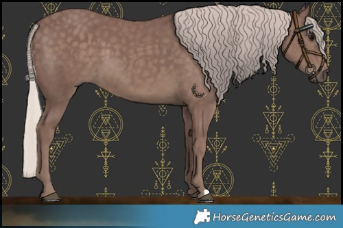 Horse Color:Chocolate Silver Black 