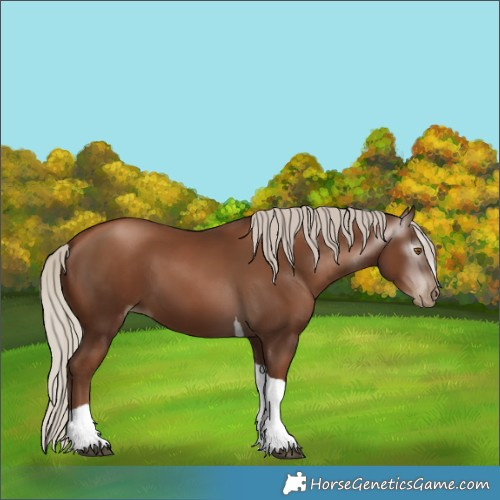 Horse Color:Gray Silver Black Pearl Tobiano 