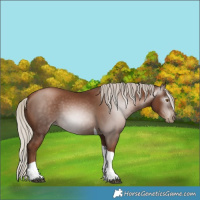 Horse Color:Gray Silver Black Pearl Tobiano