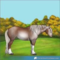 Horse Color:Gray Silver Black Pearl Tobiano 