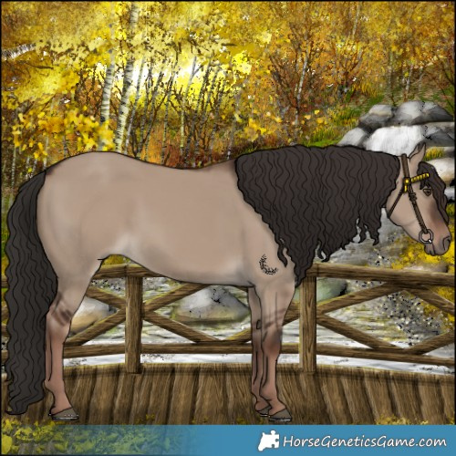 Horse Color:Liver Red Dun Rabicano 