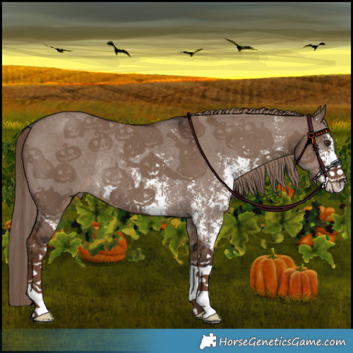 Horse Color:Liver Red Dun Sabino Rabicano 