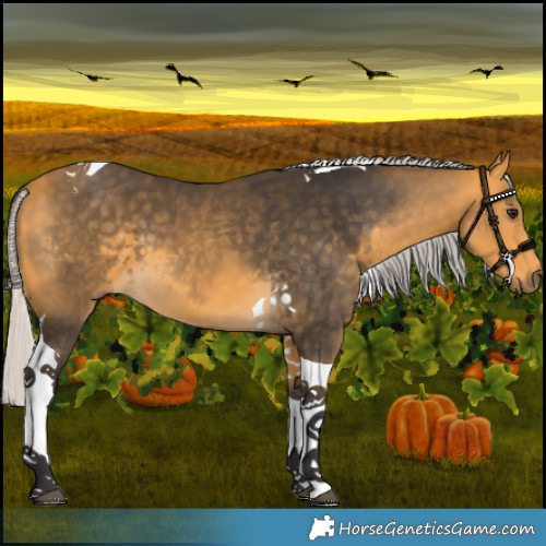 Horse Color:Silver Buckskin Tobiano 
