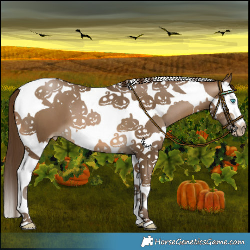 Horse Color:Gray Buckskin Pearl Splash Tobiano