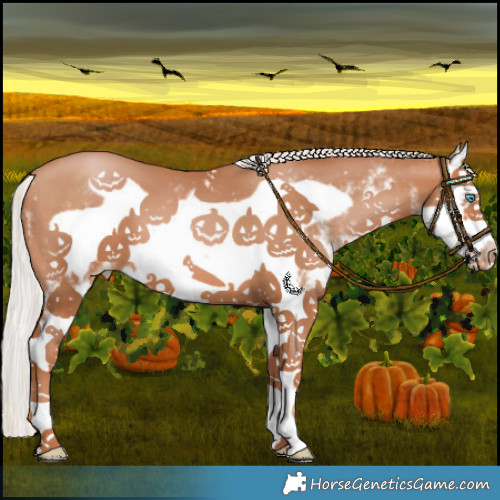 Horse Color:White Spotted Silver Bay Pearl Splash Frame 