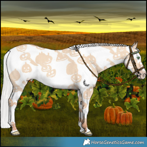 Horse Color:White Spotted Silver Classic Champagne Dun Splash 