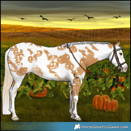 Horse Color:Palomino Splash Tobiano Frame Blanket 