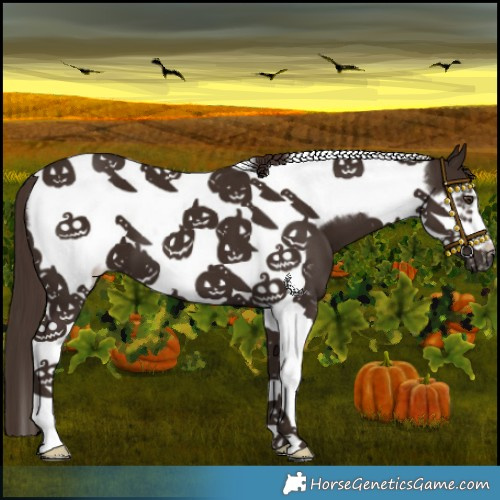 Horse Color:Liver Chestnut Tobiano Frame 