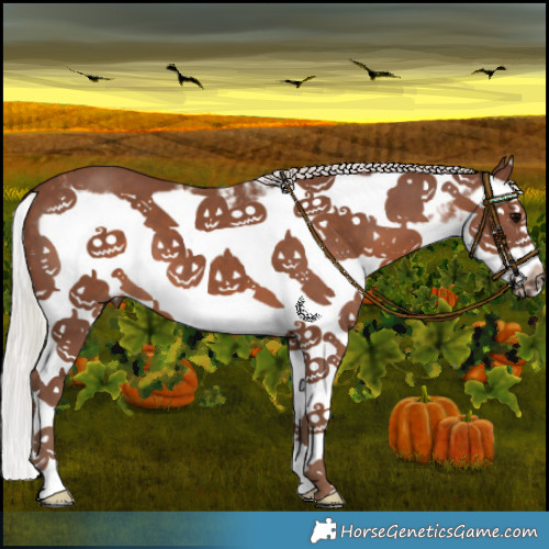 Horse Color:White Spotted Silver Black Splash Frame 