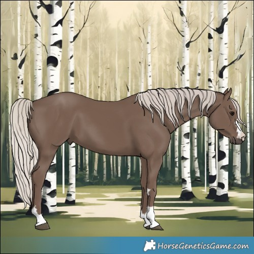 Horse Color:Silver Black 