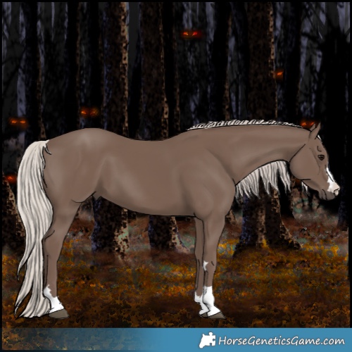Horse Color:Silver Black 