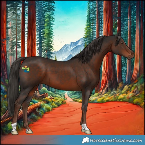 Horse Color:Liver Chestnut 