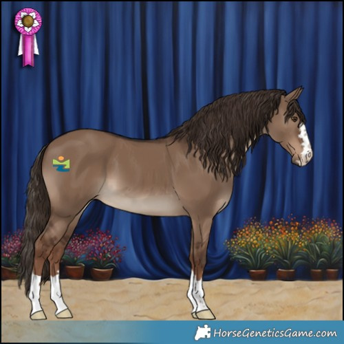 Horse Color:Liver Red Dun 