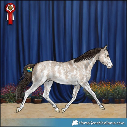 Horse Color:Liver Red Dun Sabino 