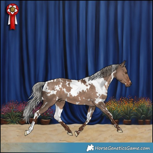Horse Color:White Spotted Liver Red Dun Mushroom 