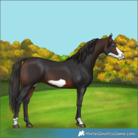 Horse Color:Brown Frame 
