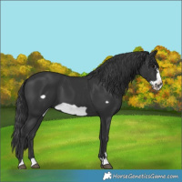 Horse Color:Black Frame 