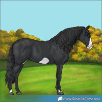 Horse Color:Black Frame