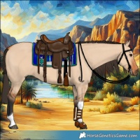Horse Color:Bay Dun Tobiano