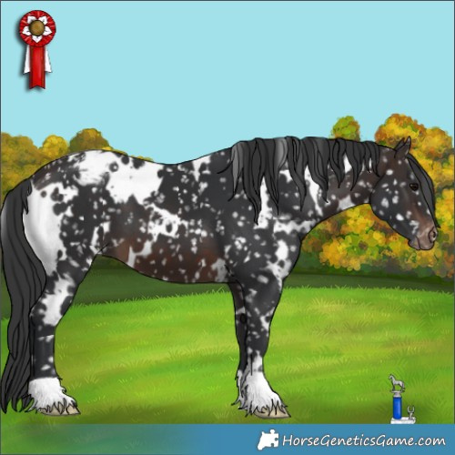 Horse Color:White Spotted Brown Snowflake Varnish